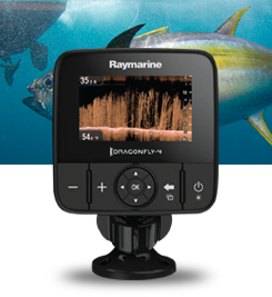 Raymarine Dragonfly-4DV
