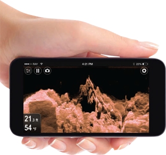 Raymarine Dragonfly WiFish
