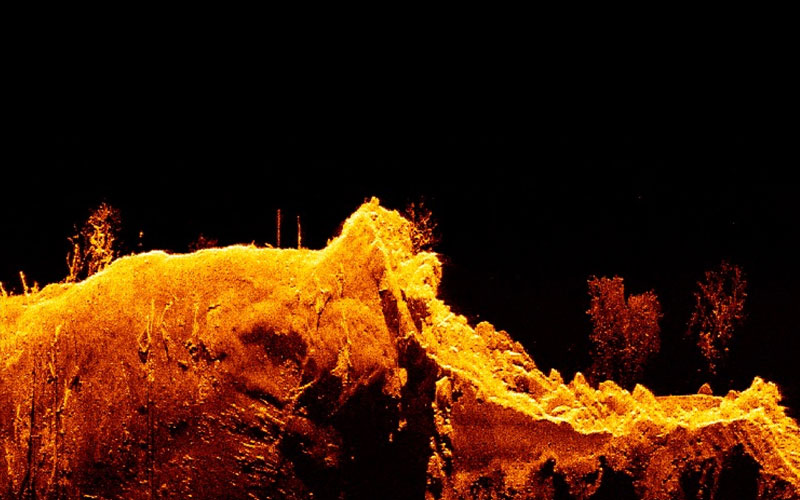 Element - HyperVision Down    | Raymarine - A Brand by FLIR
