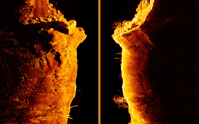 Element - HyperVision Down    | Raymarine - A Brand by FLIR