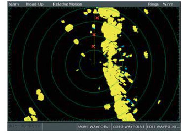 Raymarine  Digital