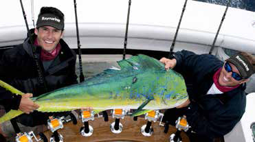 Raymarine CP300 Digital ClearPulse Sonar