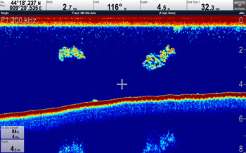 Raymarine CP300 Digital ClearPulse Sonar  1