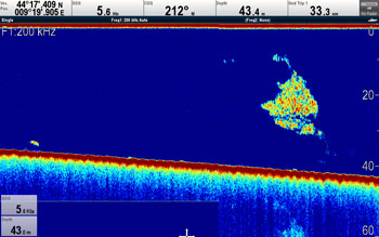Raymarine CP300 Digital ClearPulse Sonar  2