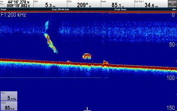 Raymarine CP300 Digital ClearPulse Sonar  3