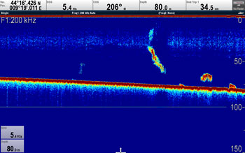 Raymarine CP300 Digital ClearPulse Sonar  4
