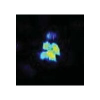 ClearPulse Sonar