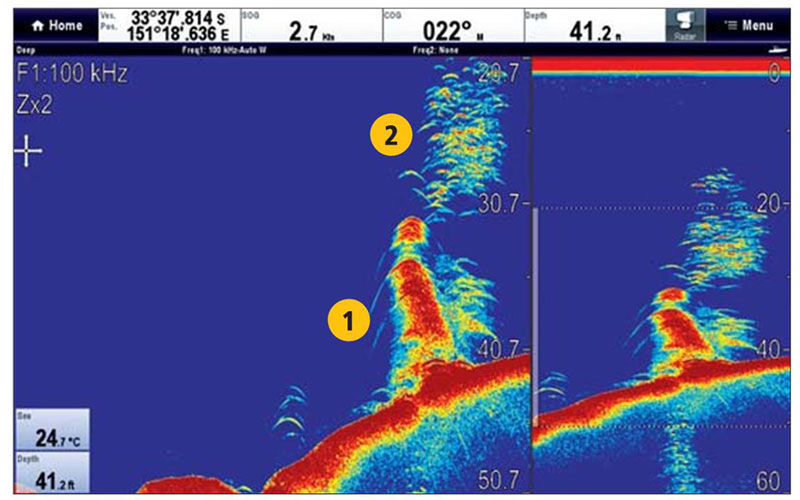 Raymarine CP450C CHIRP ClearPulse Sonar