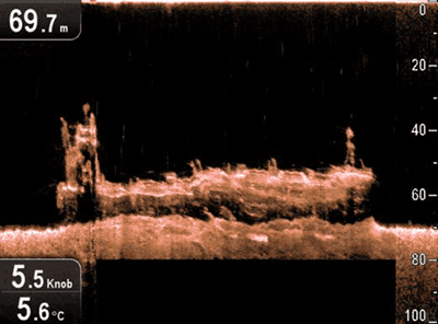 Raymarine Dragonfly DownVision