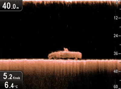 Raymarine Dragonfly DownVision