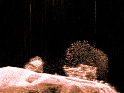 Raymarine Dragonfly DownVision