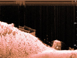 Raymarine Dragonfly DownVision