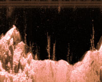 Raymarine Dragonfly   DownVision   