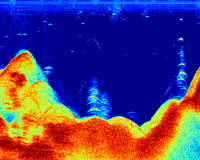 Raymarine Dragonfly   DownVision   