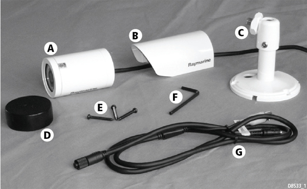    Raymarine CAM100