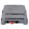 Raymarine CP100 CHIRP DownVision Fishfinder and Transom Mount CPT-100 Depth & Temp Chirp Transducer Pack