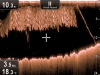 Raymarine Dragonfly-6 Gen1    CPT-60