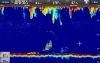 Raymarine CP470 Clear Pulse Chirp