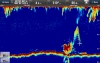 Raymarine CP470 Clear Pulse Chirp