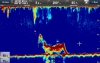 Raymarine CP470 Clear Pulse Chirp