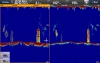 Raymarine CP470 Clear Pulse Chirp