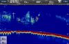 Raymarine CP470 Clear Pulse Chirp