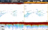Raymarine CP570 Clear Pulse Chirp
